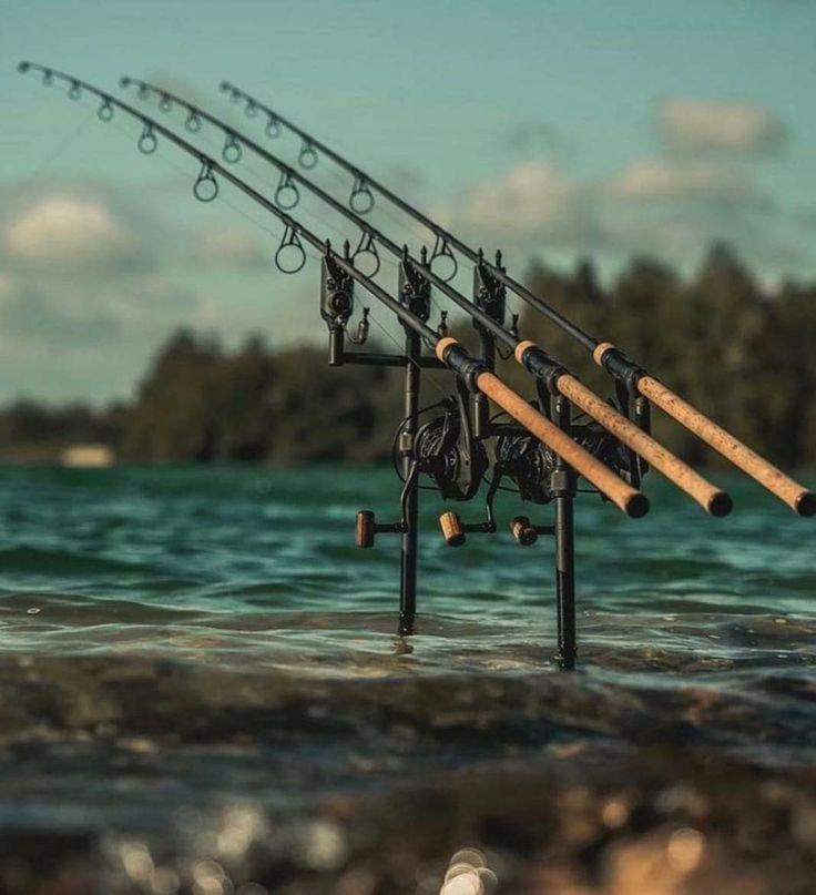 Hengelsport in Westland