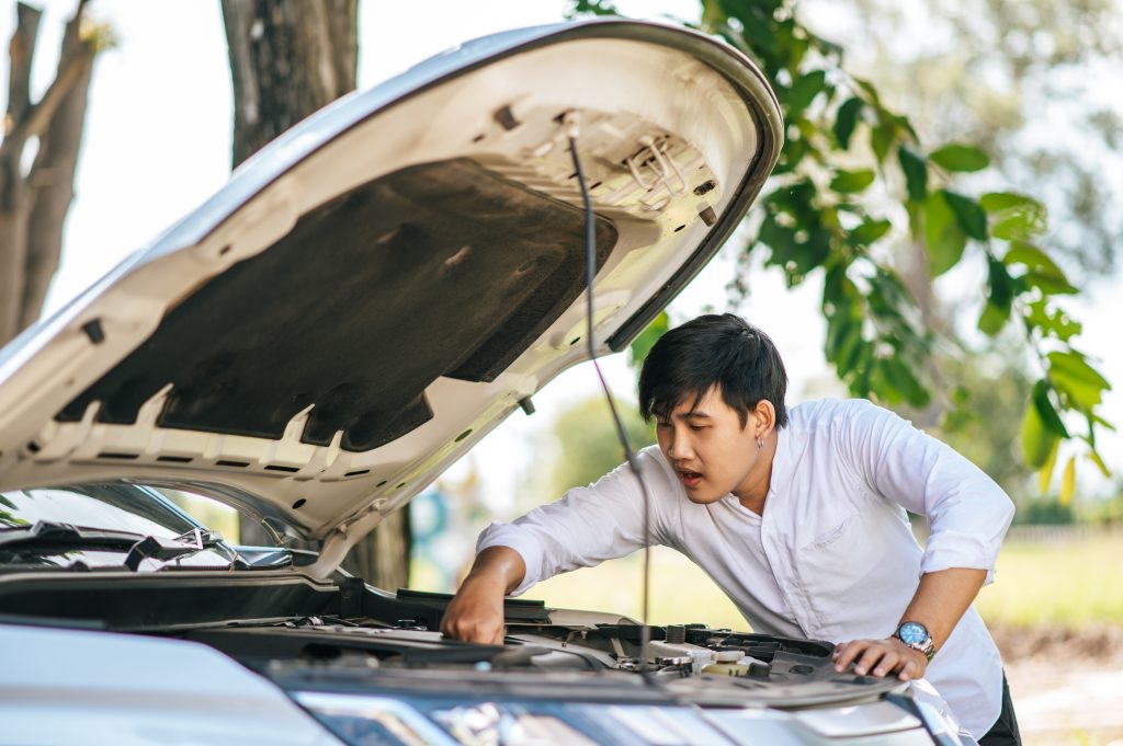 Auto reparatie in Westland