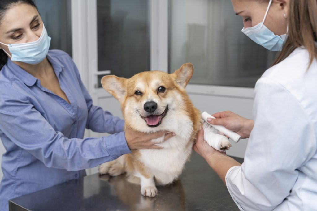 Dierenkliniek in Westland