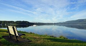 Wat te doen in Westland
