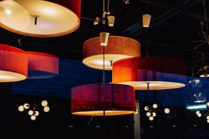 Bedrijven in Westland